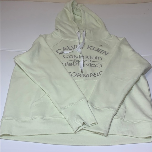 Performance Metallic Logo Drawstring Raglan Hoodie - Picture 4 of 9